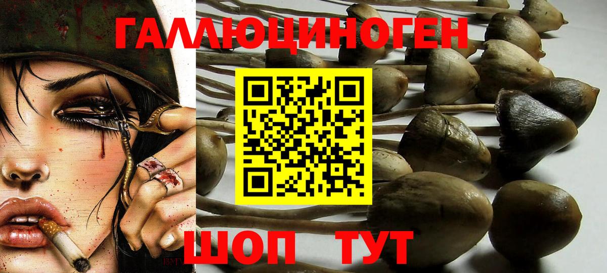 Галлюциногенные грибы Magic Shrooms  Псилоцибиновые грибы мицелий  Дзержинский  Вход с VPN 
